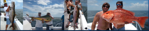 Capt Troy