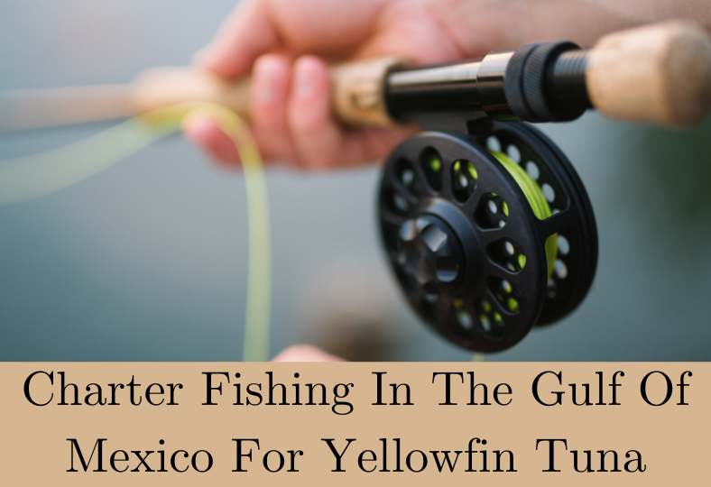 Charter Fishing in Gulf of Mexico For Yellowfin Tuna