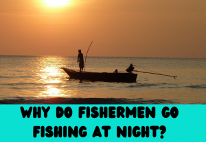 Why Do Fishermen Fish at Night