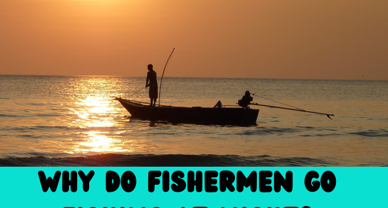 Why Do Fishermen Fish at Night