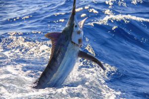 Best time to go fishing